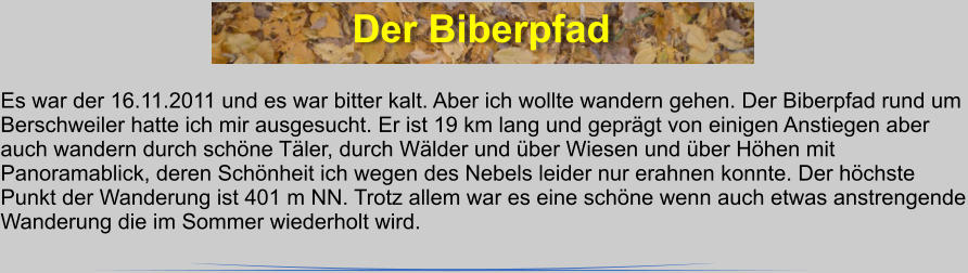 Der Biberpfad Es war der 16.11.2011 und es war bitter kalt. Aber ich wollte wandern gehen. Der Biberpfad rund um Berschweiler hatte ich mir ausgesucht. Er ist 19 km lang und geprgt von einigen Anstiegen aber auch wandern durch schne Tler, durch Wlder und ber Wiesen und ber Hhen mit Panoramablick, deren Schnheit ich wegen des Nebels leider nur erahnen konnte. Der hchste Punkt der Wanderung ist 401 m NN. Trotz allem war es eine schne wenn auch etwas anstrengende Wanderung die im Sommer wiederholt wird.